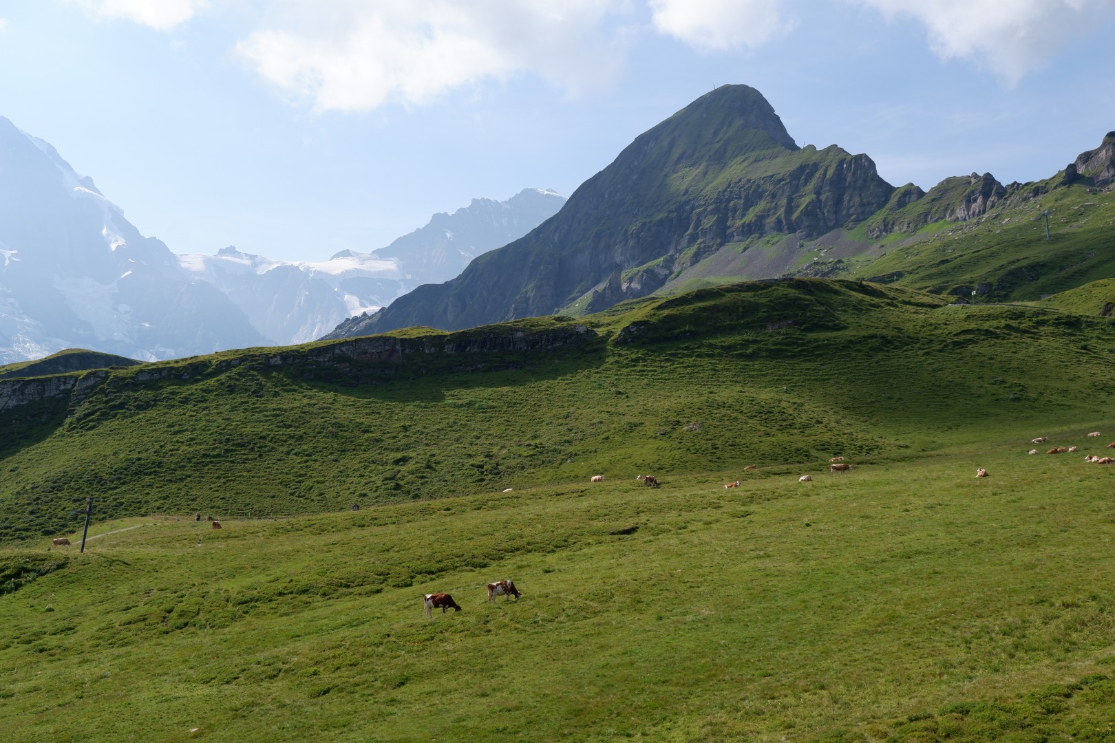 DSCF4633.JPG