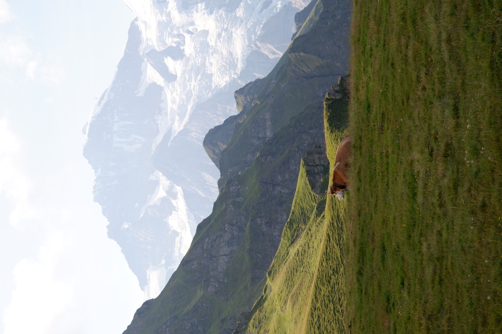 DSCF4639.JPG