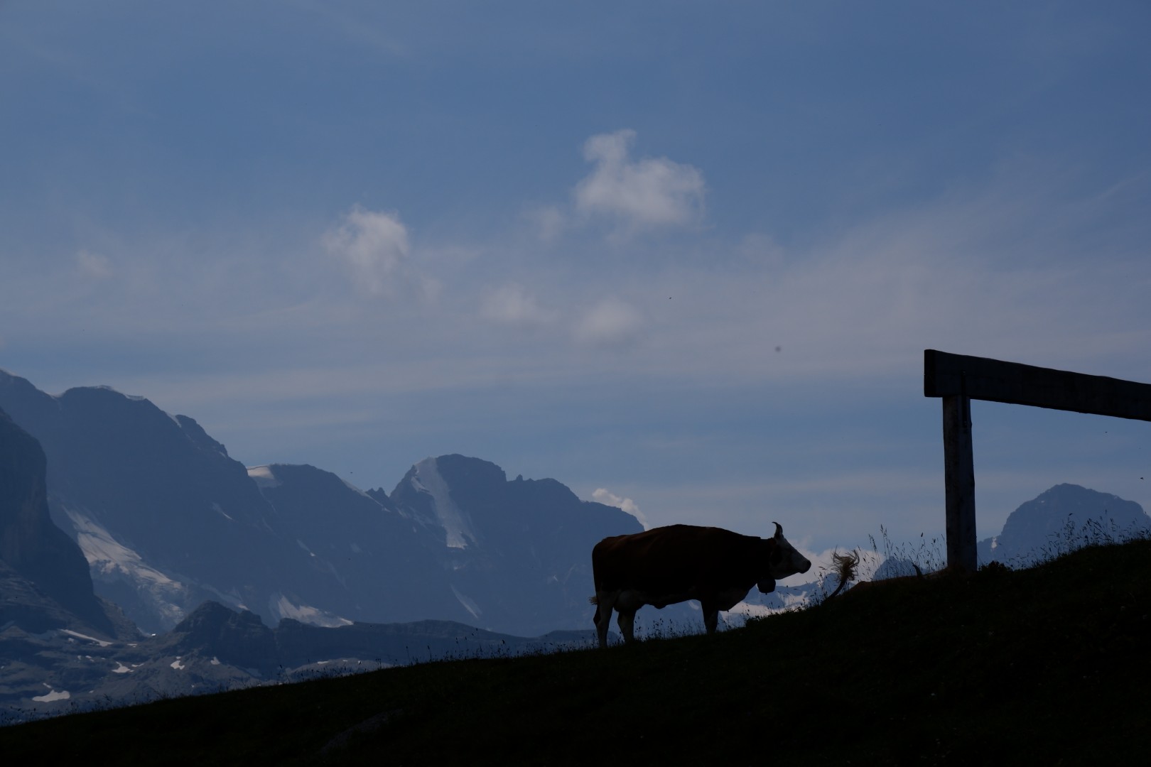 DSCF4670.JPG