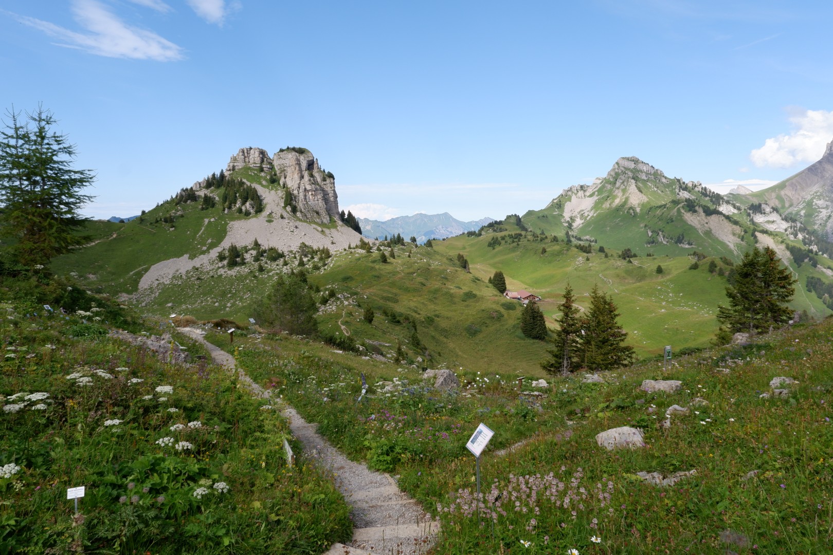 DSCF4827.JPG